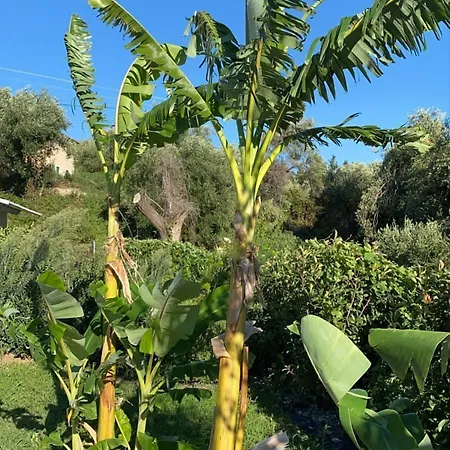 La Maison Corfu - Adults Only 호텔 3*